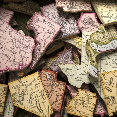 United States Jigsaw Puzzle Pieces